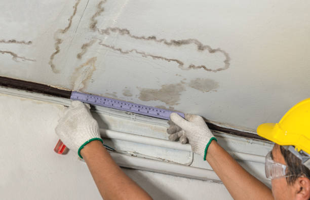 Reliable Mold Remediation contractor in Anacortes, WA by Water Damage Irwin